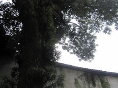 -陈阁老宅