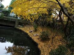 -汇龙潭