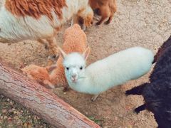 -洛阳市隋唐城遗址植物园