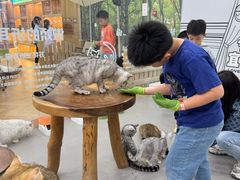 -中集金地美兰城