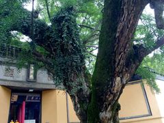 -无锡惠山寺