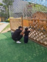 -萌宠亲子动物乐园(槐房万达店)