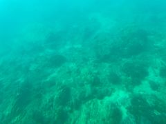 -亚龙湾海底世界
