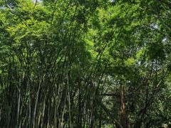 -晓港公园