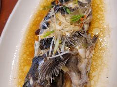 -今鲜源大酒店·中华餐饮名店(新湛路店)