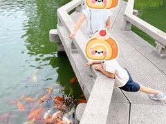 -檀园