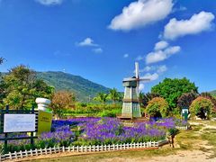 -亚龙湾国际玫瑰谷