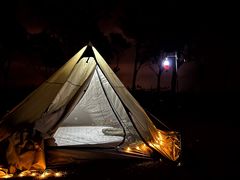 -春花秋色城市公园