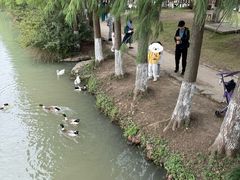 -乌村