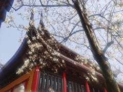 -灵谷景区
