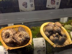 -滇野云南野生菌餐厅(陕西南路店)