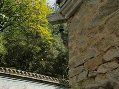 -白水寺森林公园