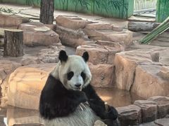 -秦皇岛野生动物园