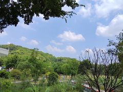 -牛岗山公园