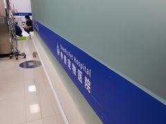 -申普宠物医院·心脏介入·心血管微创(总院)