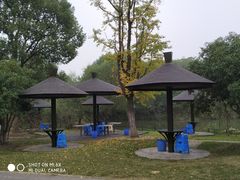 -梁鸿国家湿地公园