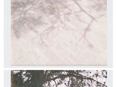 -中国艺术研究院油画院