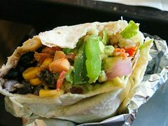 -油梨树AVOCADO TREE(顺义新国展店)