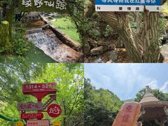 -红崖峡谷景区