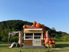 -南北湖风景区