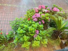 -蟹谢蒸鲜自助餐厅