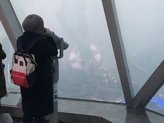 -WFC会仙楼观景台