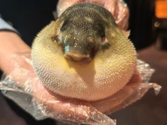 -肆月河豚·淮扬菜·湘菜(华天店)