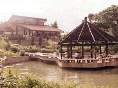 -九龙公园