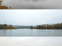 -佛手湖郊野公园
