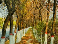 -渭河城市绿地运动公园