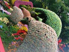 -杭州植物园