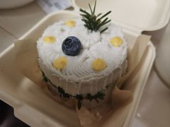-野草莓自由市场