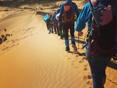 景点-恩格贝生态旅游区