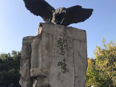 -北京鹫峰国家森林公园