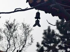 -哈尔滨极乐寺