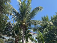 -三亚蜈支洲岛旅游区