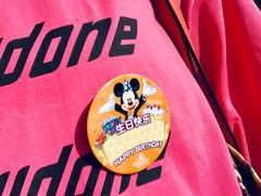 -上海迪士尼度假区