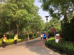 -大兴滨河森林公园