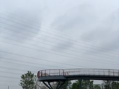 -王借岗森林公园