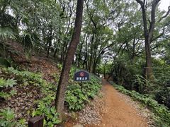 -马王堆汉墓遗址