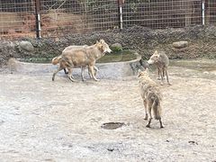 -南昌动物园