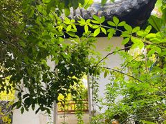 -秋霞圃