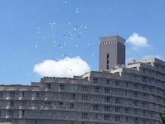 -台场海滨公园船码头