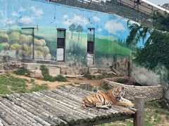 -西霞口神雕山野生动物世界