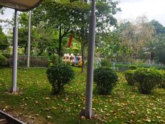 -荔湾区儿童公园