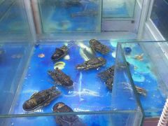 -OPEN開全日自助餐厅·牛肉火锅·海鲜(佛山希尔顿酒店)