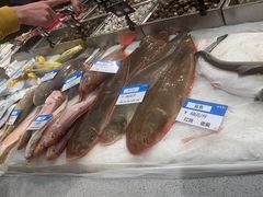 -胖大嫂渔家排档·全海景餐厅(渔村店)