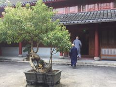 -普陀山风景名胜区-法雨禅寺