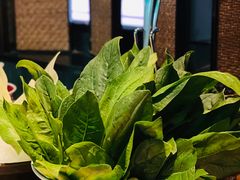 幼苗笨菠菜-大隐·成都火锅Bistro(合生麒麟新天地店)