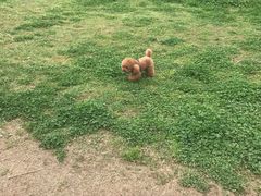 -桤木河湿地公园